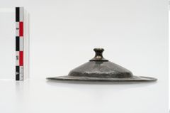 Foto von Bronzephalere (NHMW-PRAE-025078)